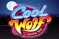 Cool Wolf