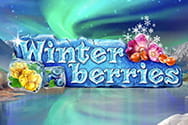 Der Slot Winterberries.